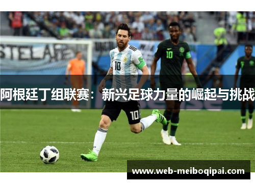 阿根廷丁组联赛：新兴足球力量的崛起与挑战